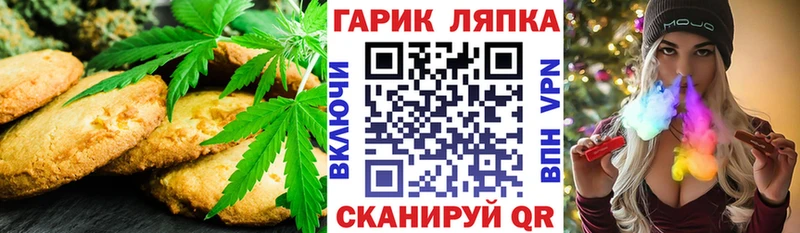 площадка как зайти  Кизляр  Canna-Cookies марихуана  как найти закладки 