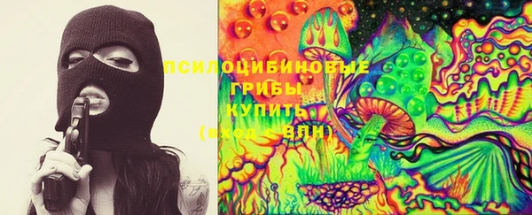 молекула духа Володарск