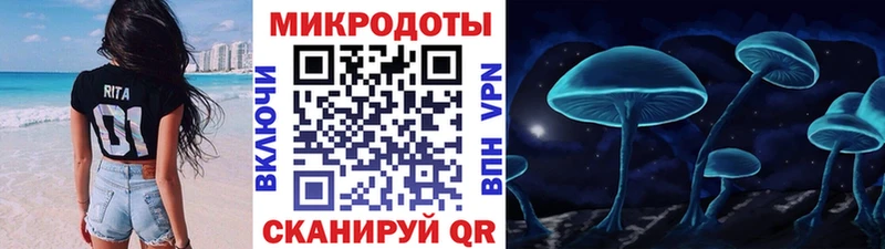 Галлюциногенные грибы Psilocybe  Кизляр 